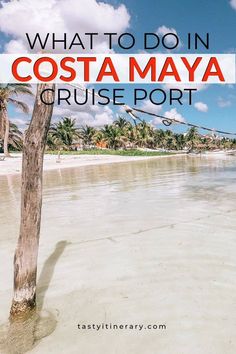 what to do in costa mayoa cruise port