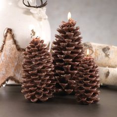 two pine cones sitting next to each other on a table