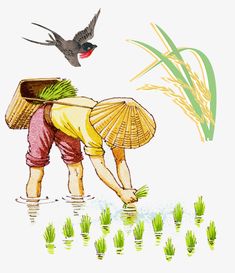 an illustration of a person bending over in the water with grass and birds flying around