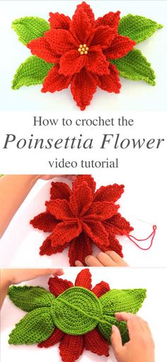 crochet poinsettia flower with video instructions