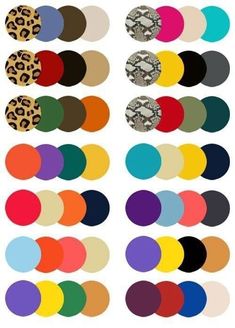 an assortment of different colored circles with leopard print on them, all in various colors