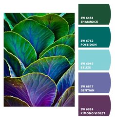 some green and purple leaves are in the same color scheme, with different shades to choose from