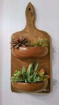 a wooden cutting board with succulents and plants in it on the wall