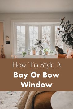 a living room filled with furniture and a cat sitting on top of the window sill