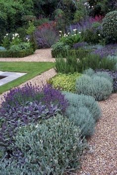 a garden filled with lots of different types of flowers and plants on top of gravel