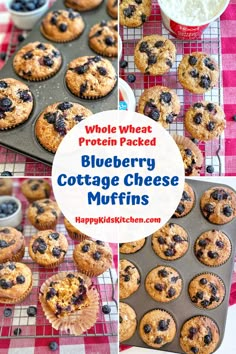 blueberry cottage cheese muffins on a baking sheet and in a muffin tin