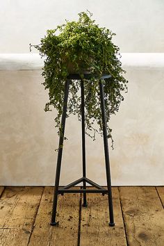 a potted plant sitting on top of a metal stand