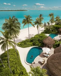 an aerial view of a tropical resort with palm trees and the ocean in the background