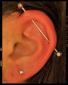 Industrial Piercing Idea Ear Piercing Industrial, Dumbest Tattoos, Dream Piercings, 3 Ear Piercings, Cute Nose Piercings, Ear Piercings Chart