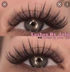 2023 Lashes, Doll Eye Eyelash Extensions, Eye Makeup Images, Eyelash Logo