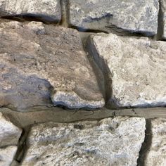 a bird is perched on the side of a stone wall