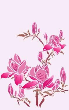 a pink flower on a white background