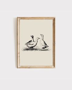 two ducks sitting on the ground in front of a white wall with a wooden frame