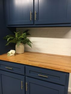 a kitchen with blue cabinets and a wooden counter top that has a potted plant on it