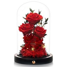 three red roses in a glass dome on a black base with gold accents and greenery