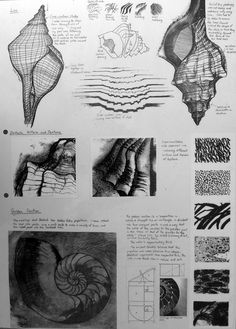 some drawings are shown in black and white