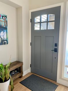 a gray door with two windows and a potted plant on the floor next to it