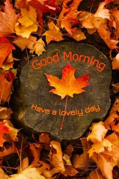 a wooden sign that says good morning have a lovely day surrounded by autumn leaves and maples