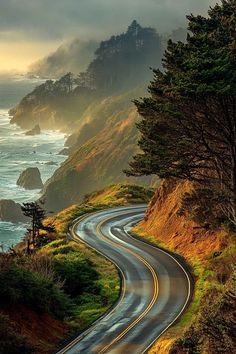 a winding road near the ocean with trees on both sides and fog in the air