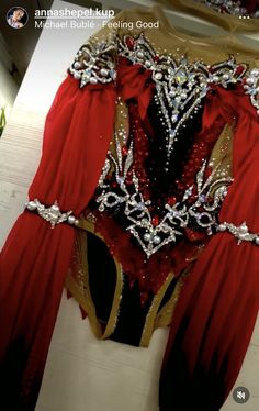 a red and gold costume is on display