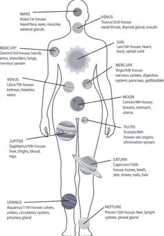 Astrology Body Chart, Astrology Calendar 2023, Chariklo Astrology, Astrology Chart Learning, Astrology Information, How To Read Your Birth Chart, Astrologer Aesthetic, Astrology Beginners