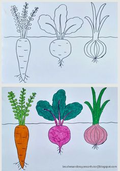 two pictures of carrots and radishes on paper