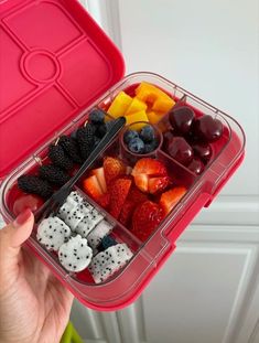 a plastic container filled with dices, fruit and veggies next to a door