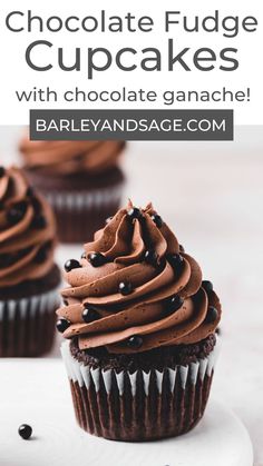 chocolate fudge cupcakes with chocolate ganache on a white plate and text overlay