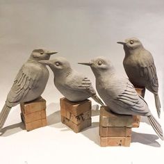 three birds sitting on top of wooden blocks