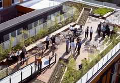 an overhead view of people eating and drinking on the roof of a building with plants growing all over it