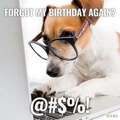 a dog wearing glasses is sitting on a laptop with the caption forgot my birthday again?