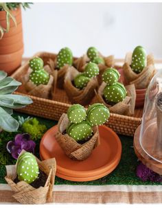 small green cactus plants in baskets sitting on top of a table next to succulents