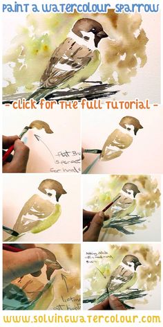 watercolor bird painting step by step instructions for beginners