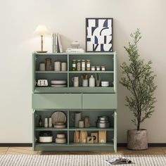 a green shelf filled with lots of items next to a potted plant on top of a rug