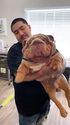 a man holding a large dog in his arms