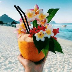 a person holding an orange on the beach with flowers in it's palm tree