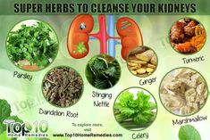 Top 10 Super Herbs to Cleanse Your Kidneys | Top 10 Home Remedies Heal Kidneys, Alkaline Herbs, Detox Herbs, Natural Liver Detox, Liver Detox Diet, Cleansing Drinks