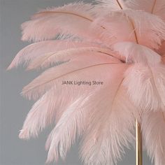 pink ostrich feathers on a gold stand with a gray background and text that reads jank lighting store