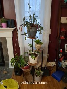 there are many potted plants in the corner of this room, and one is on top of a stand