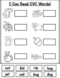 i can read cvc words worksheet with pictures to help students learn the word