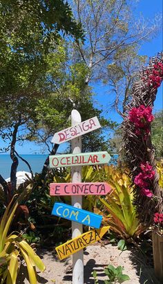 a sign that is on the side of a road near some plants and flowers in front of water