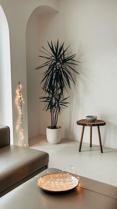 a living room filled with furniture and a potted plant on top of a table