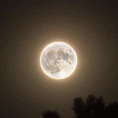 the full moon is seen in the dark sky