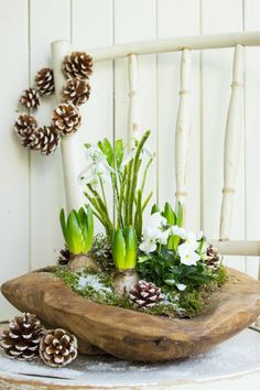 a wooden bowl filled with green plants and pine cones on top of a white chair