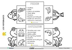 an animal diagram with the words and pictures in spanish for children to color, then print out