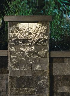 a stone wall with a light on it in front of some plants and bushes at night