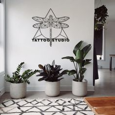 three potted plants sit in front of a tattoo studio sign on the wall behind them