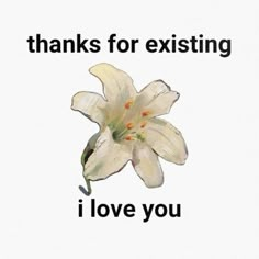 a white flower with the words thanks for existing i love you