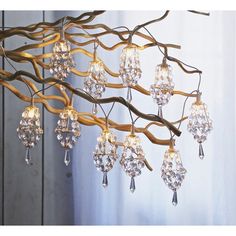 a chandelier is hanging from a tree branch