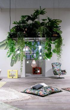 a living room with plants hanging from the ceiling and pillows on the floor in front of it